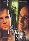 The Perfect Son (2000).jpg